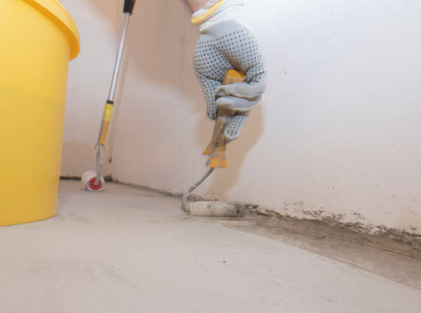 Best Termite Inspection and Treatment  in Pottsville, PA